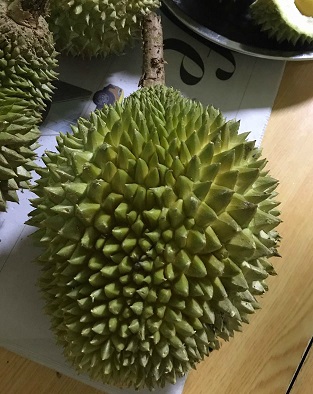 fresh durian